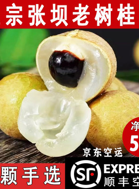 正宗四川泸州新鲜桂圆龙眼顺丰