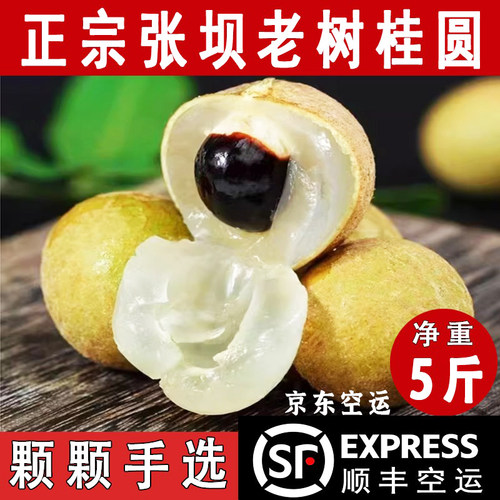 正宗四川泸州新鲜桂圆龙眼顺丰