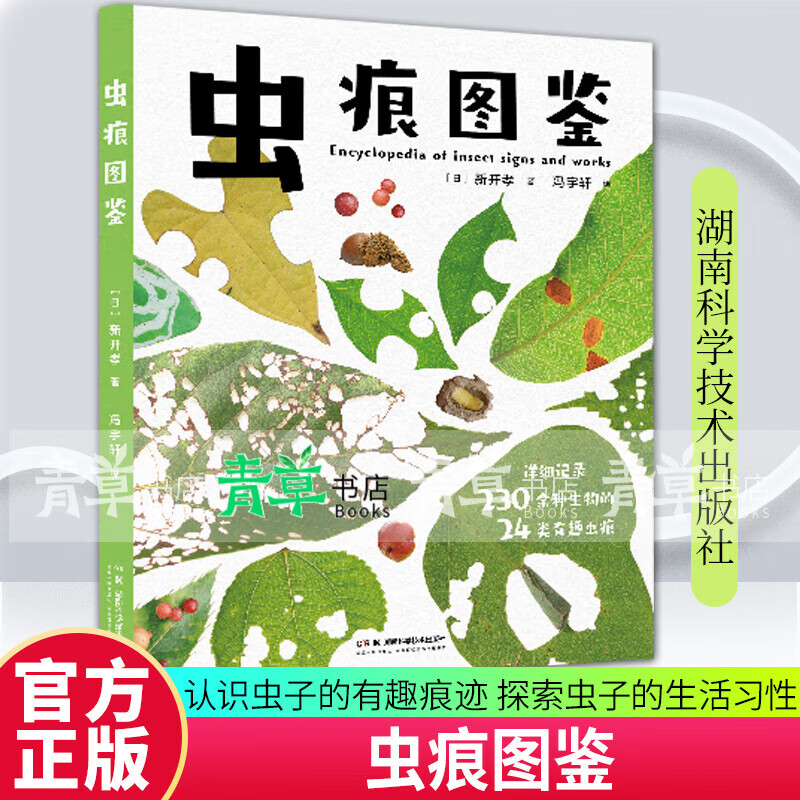 虫痕图鉴 日本知名昆虫学家、昆虫摄影家新开孝新作 自然观察手册认识虫子的有趣痕迹，探索虫子的生活习性 标准