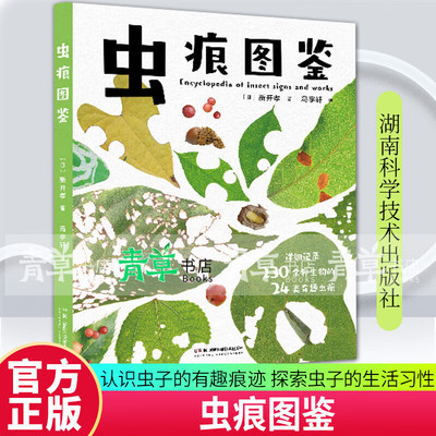 虫痕图鉴 日本知名昆虫学家、昆虫摄影家新开孝新作 自然观察手册认识虫子的有趣痕迹，探索虫子的生活习性 标准