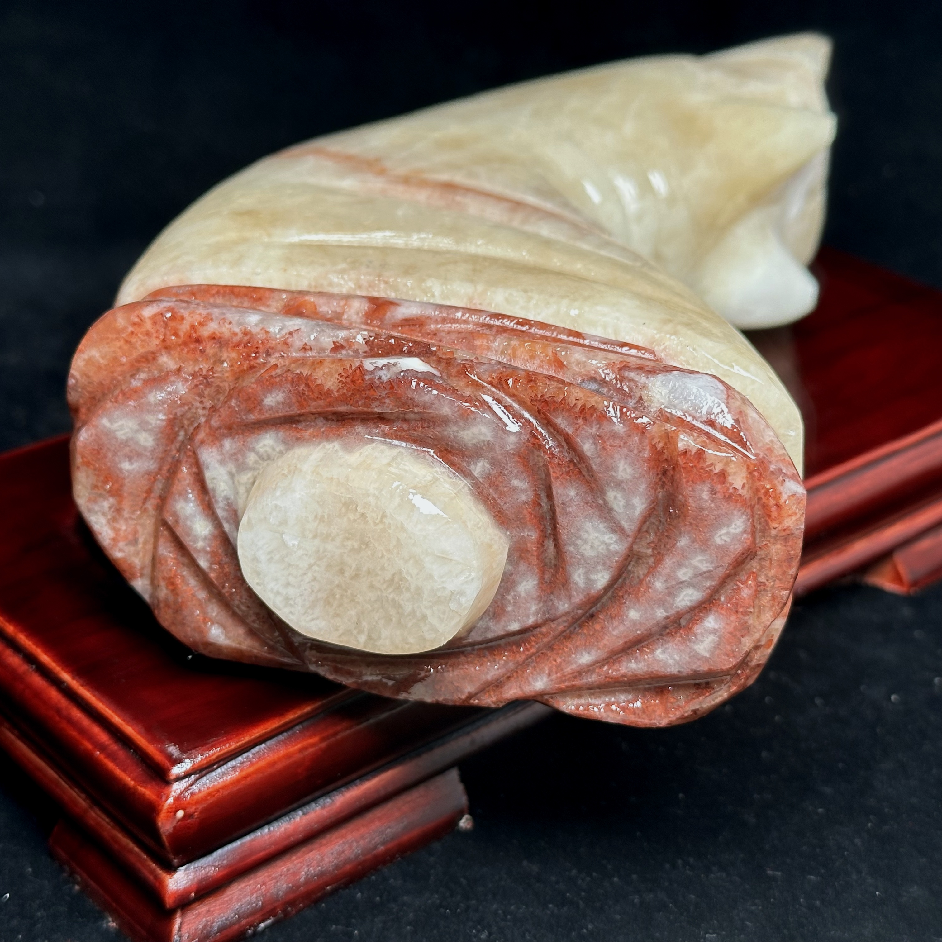 天然肉石猪脚奇石摆件家居装饰品礼品客厅桌面摆设招财猪蹄
