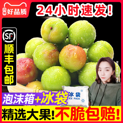 顺丰李子酸脆怕酸不买！三月李子