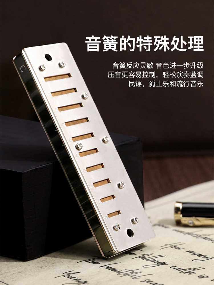 天鹅布鲁斯口琴10孔c调网儿童初学者入门专业十蓝调paddy调音乐器