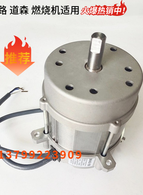 利雅路燃烧机电机BS2 BS3 BS4 RS5 FS10 FS20电机马达250W 150W