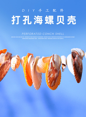 打孔海螺贝壳diy手工材料包