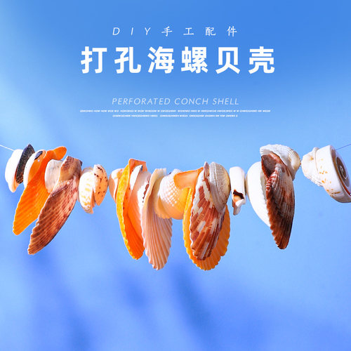 打孔海螺贝壳diy手工材料包