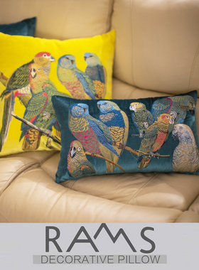 美式乡村抱枕样板房沙发靠垫抱枕套长方形墨绿色绒布刺绣鹦鹉腰枕