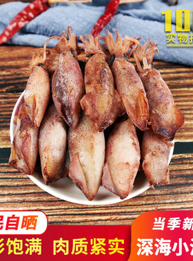 海兔干笔管鱼小墨鱼仔干货