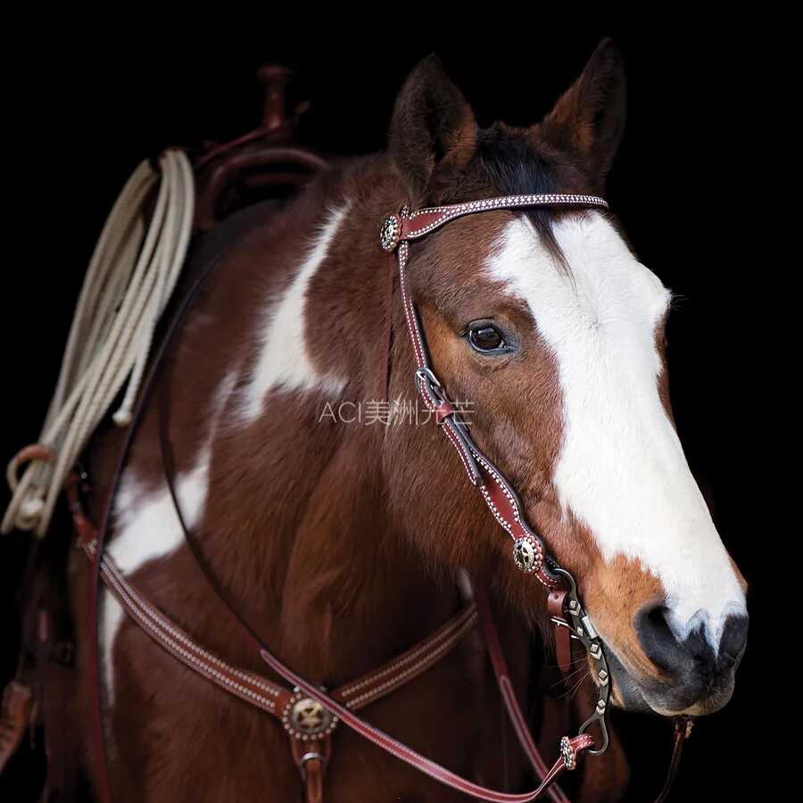 美产手工WEAVER德州之星胸带西部牛仔马具马鞍保护连接带