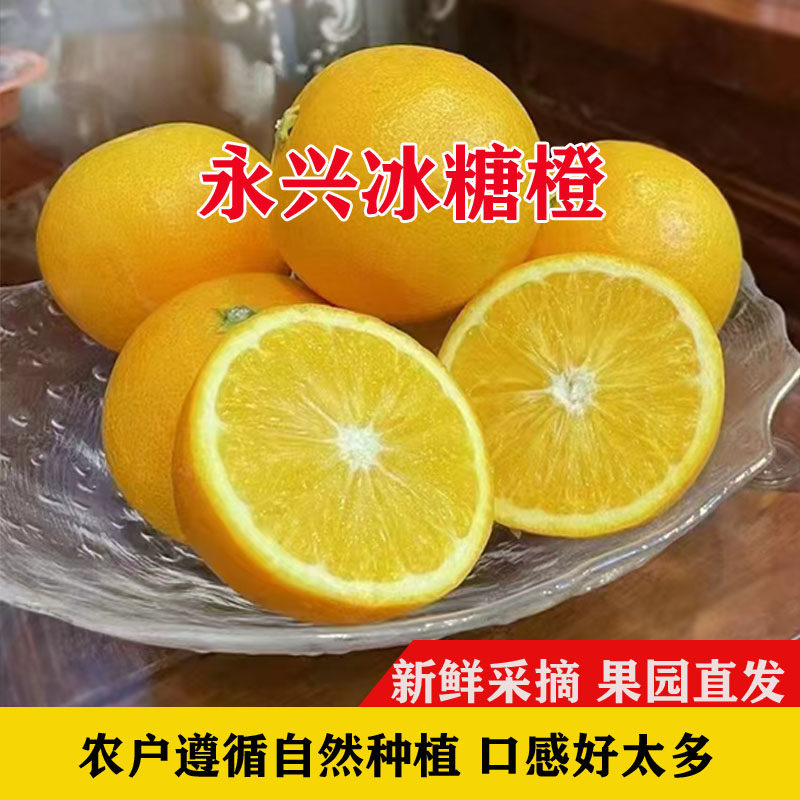 正宗永兴冰糖橙湖南甜橙现摘新鲜