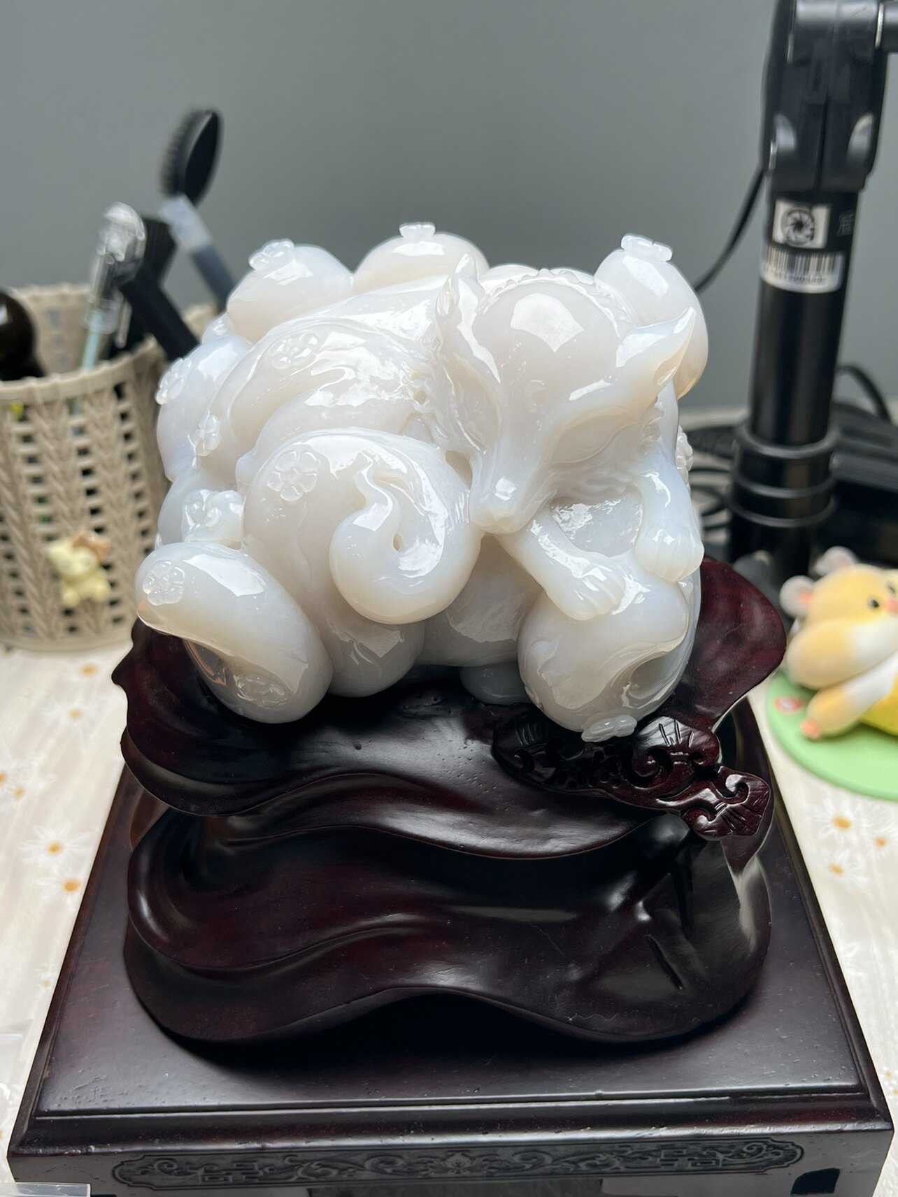 红太阳珊瑚玉天然宝石 原料 手镯 超大白冰果冻狐狸