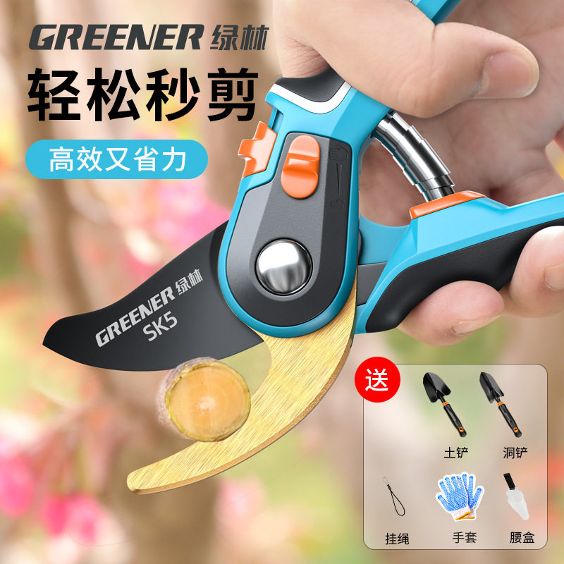 绿林花剪剪刀修枝剪园艺剪刀修枝剪专用修枝花卉树枝园林果树树枝图片