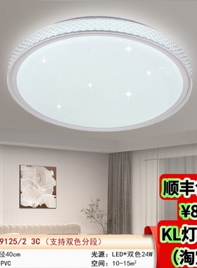 29125/29126/29127/29128新款LED吸顶灯简约大气卧室书房阳台灯