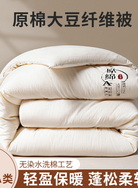 超柔软A类大豆纤维被子棉被芯学生春秋被夏凉被冬被加厚四季通用