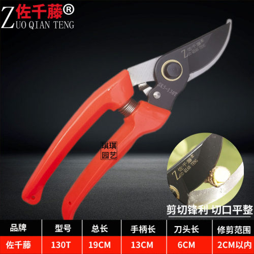 佐千藤修枝剪刀SK5进口