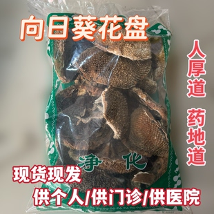 安国中药材市场 向日葵花盘干葵花盘 盐碱地向日葵空盘葵花头包邮