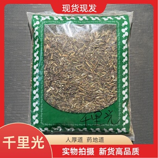安国中药材市场批 发千里光 草药泡水小孩洗澡泡澡 黄花母1000克