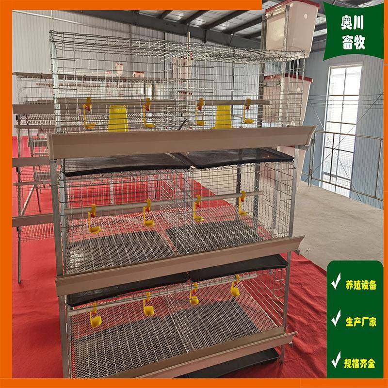 鸡舍养殖厂三层两门/四层两门/绿槽/白槽肉鸡笼