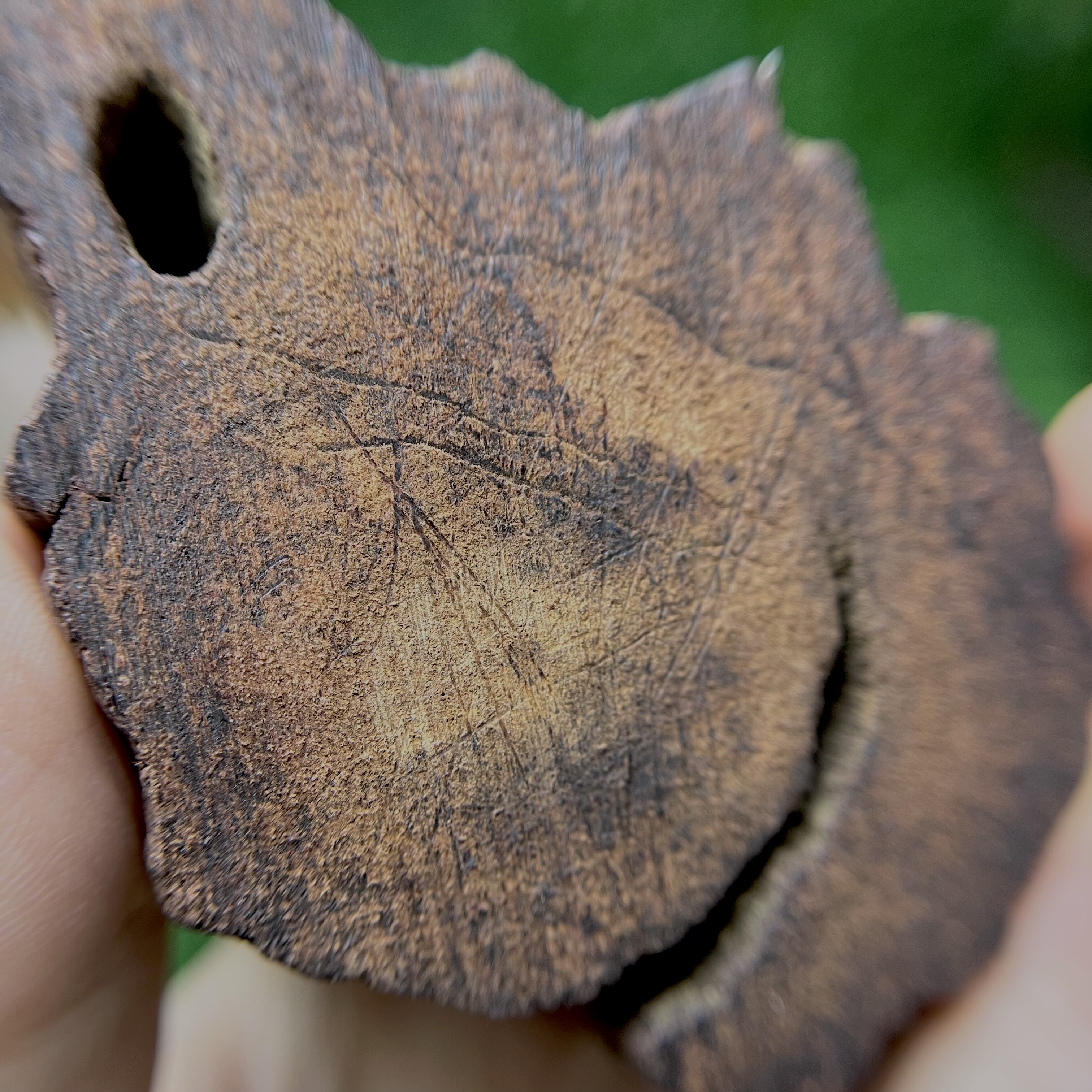天然小叶降真香帝王香级老黄油老沙皮料猫猫推荐,饰品/流行首饰/时尚饰品新,小众木作,淘宝优惠券,粉丝福利购,淘宝优惠卷