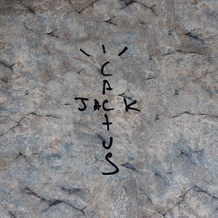 Cactus Jack汽车贴纸Travis Scott潮牌文字Hip-Hop嘻哈说唱鞋盒贴