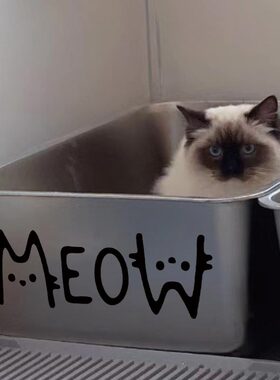 meow喵喵叫创意搞笑英文