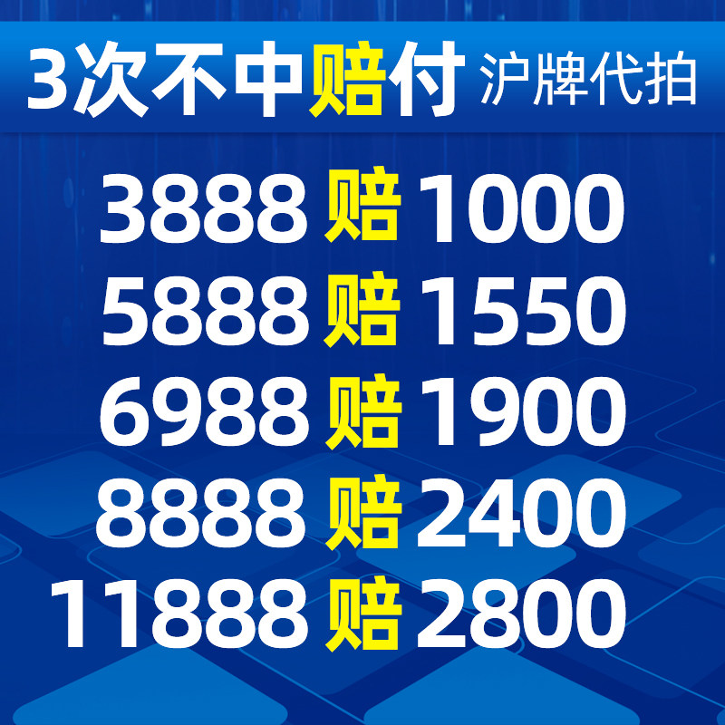闪电代拍 带拍上牌个人汽车拍沪牌 沪牌代拍上海牌拍牌车牌牌照