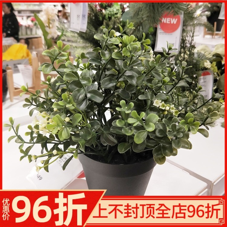 古桥微雨 IKEA宜家国内代购  菲卡 人造盆栽植物, 越桔|ruв категории Домашний быт, ваза/цветок/искусственные цветы/моделирование украшения, искусственные цветы/искусственные цветы - от Buy2taobao.com для оказания профессиональной услуги покупки агента Taobao