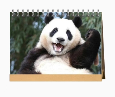 大熊猫福宝2026年双面台历写真照片相册周边纪念礼品