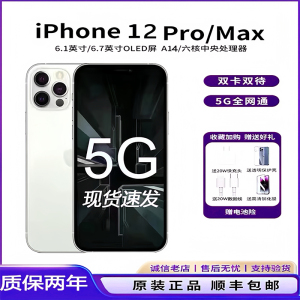 Apple/苹果 iPhone 12 Pro Max 苹果12promax 12双卡全网通5G手机