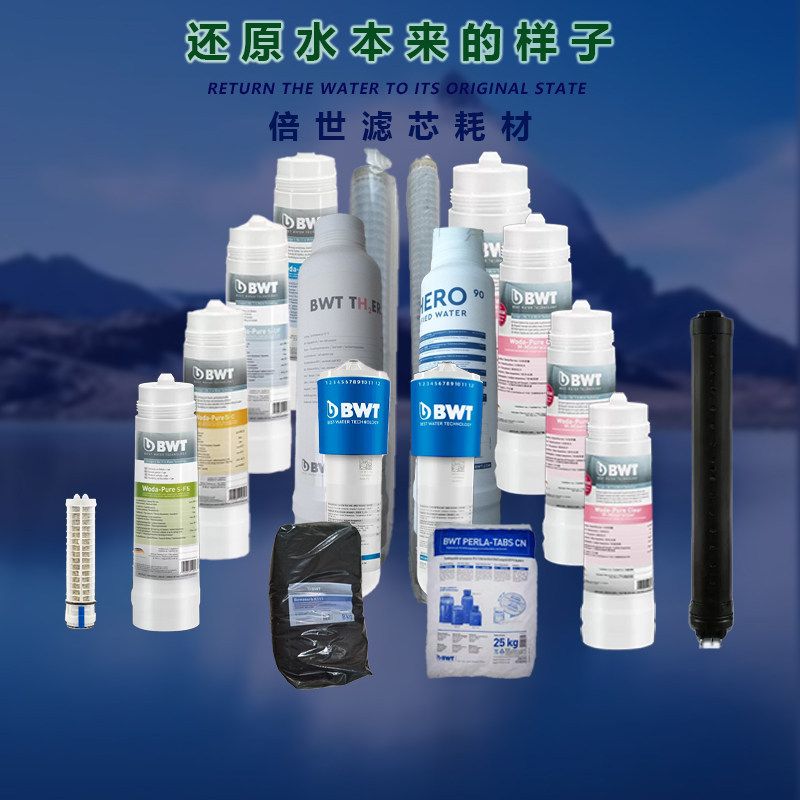德国BWT倍世末端超滤直饮机纯水机替换滤芯软水机中央净水器耗材