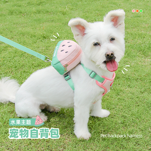 狗狗牵引绳自背包胸背带中小型犬泰迪比熊柴犬书包背心式遛狗绳子