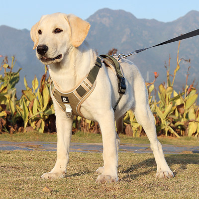 大型犬狗狗牵引绳价格实惠