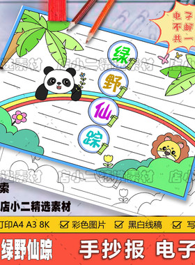 绿野仙踪手抄报模板小学生绘画四年级课外阅读好书推荐小报A3A48K