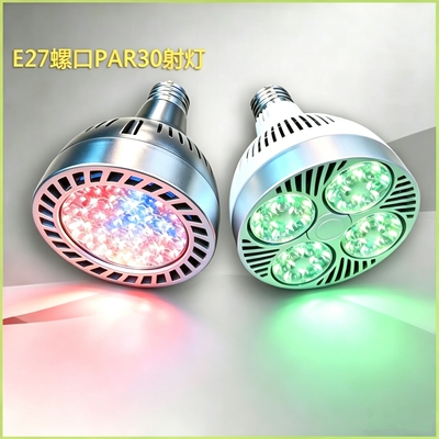 LEDPAR30轨道射灯红绿蓝暖黄光