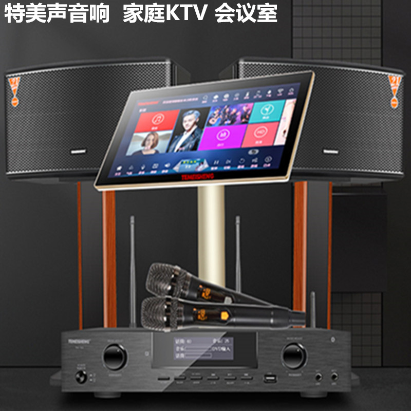 Temeisheng KT-450专业卡包音响大功率蓝牙无线话筒会议音箱 影音电器 KTV/卡拉OK音箱 原图主图