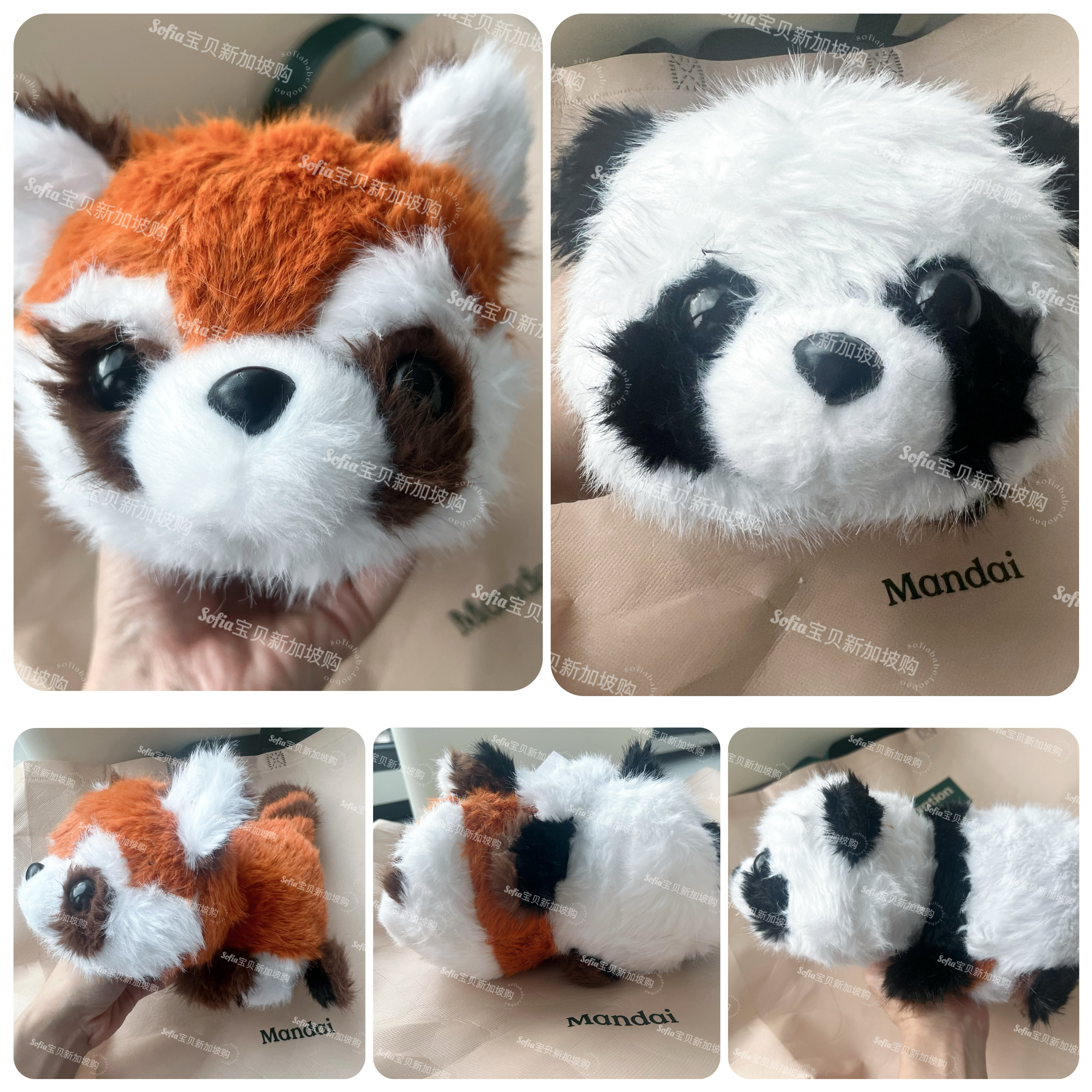 现货新加坡Mandai动物园河川湿地动物园小熊猫小红熊猫二合一玩偶