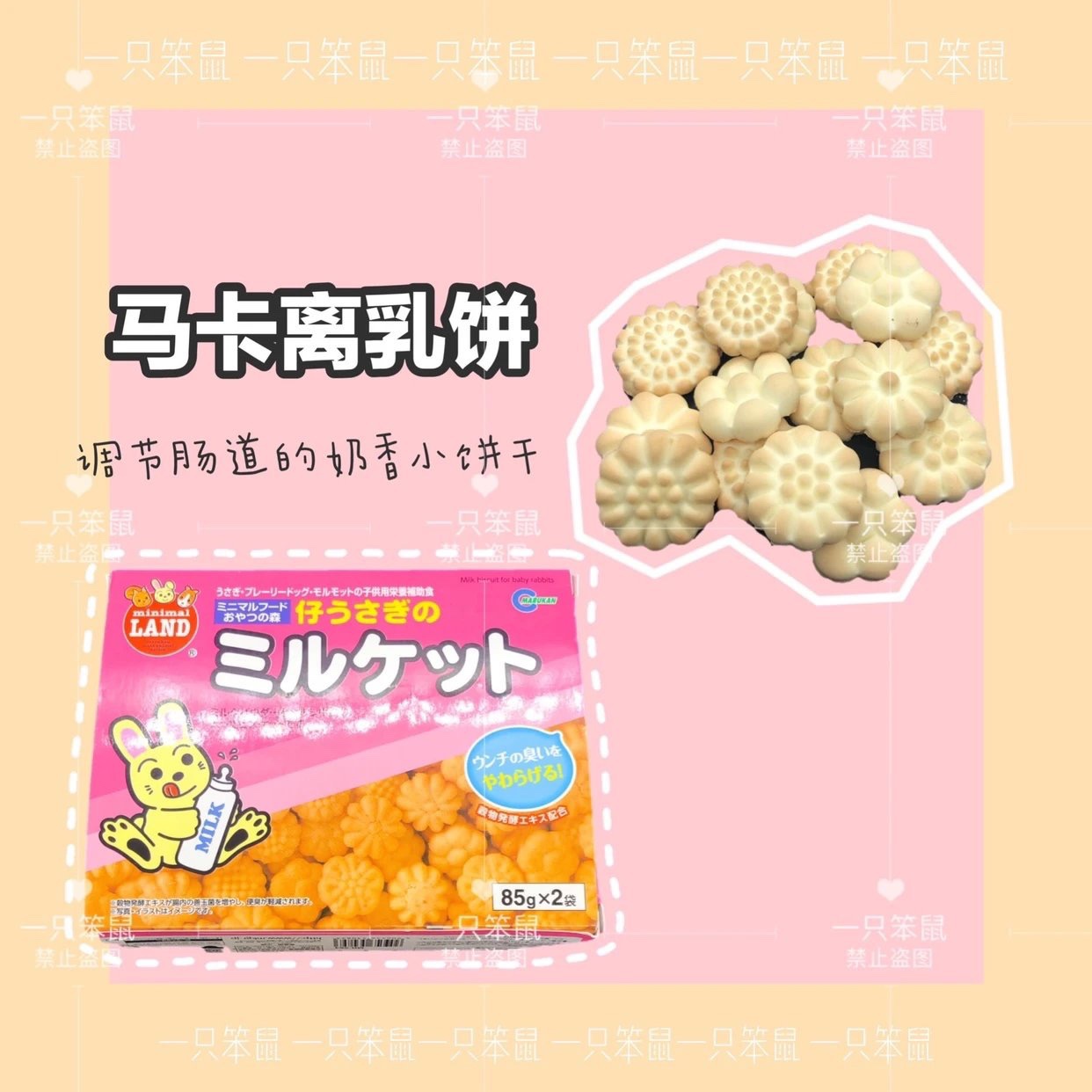 【一只笨鼠】仓鼠花枝鼠金丝熊兔子日本进口零食马卡