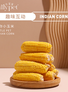 【一只笨鼠】仓鼠金丝熊花枝鼠磨牙造景躺手迷你小玉米磨牙玉米