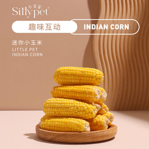 【一只笨鼠】仓鼠金丝熊花枝鼠磨牙造景躺手迷你小玉米磨牙玉米