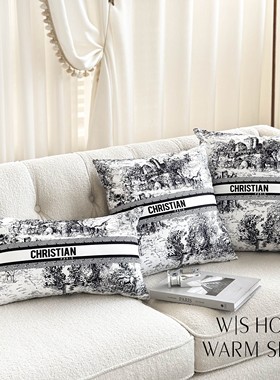 高颜值柔软抱枕床头沙发腰枕靠枕客厅靠垫现代法式客厅卧室办公室