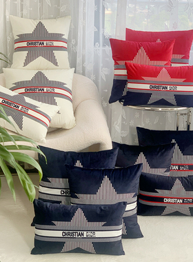 新款时尚轻奢抱枕沙发卧室靠垫客厅床头毛绒汽车靠枕含芯布艺枕套