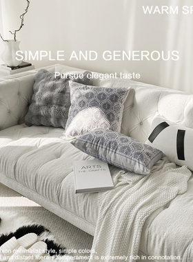 新款时尚邦尼派对法式抱枕沙发卧室靠垫客厅床头毛绒汽车靠枕含芯