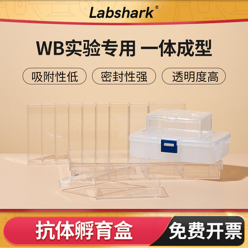 Labsharkwb抗体孵育盒加厚