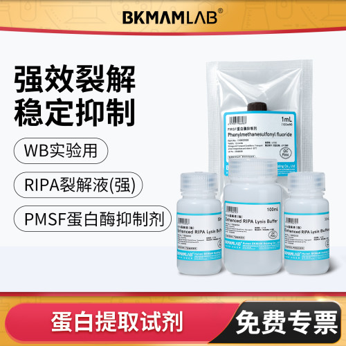 比克曼生物蛋白提取试剂RIPA裂解液强100mLPMSF蛋白酶抑制剂