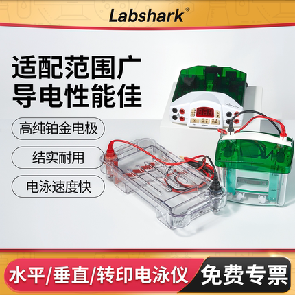 Labshark电泳仪琼脂糖凝胶水平垂直电泳槽WB转印蛋白核酸实验室用