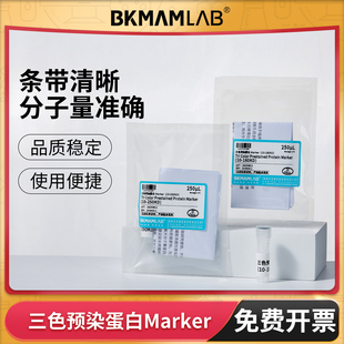 比克曼生物三色预染蛋白Marker蛋白电泳蛋白分子量标准试剂缓冲液