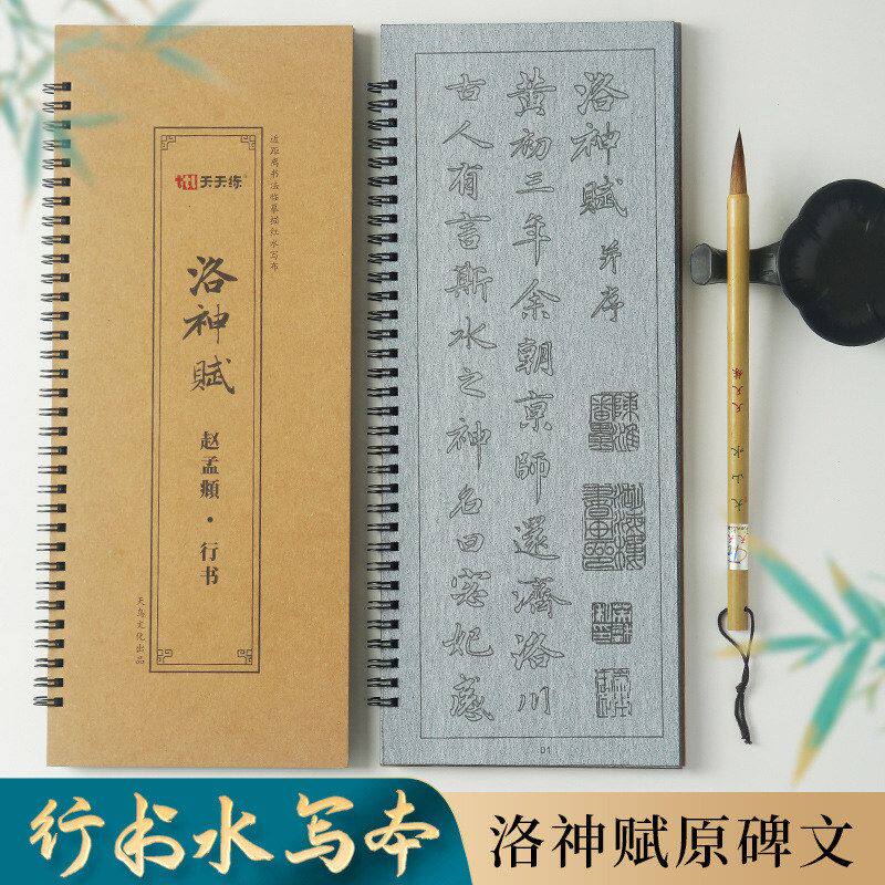 行书水写布赵孟頫行书洛神赋全文原碑临摹描红毛笔书法练习水写本