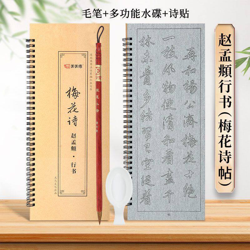 天天练赵孟頫行书梅花诗帖练字神器重复使用清水练习临摹水写布