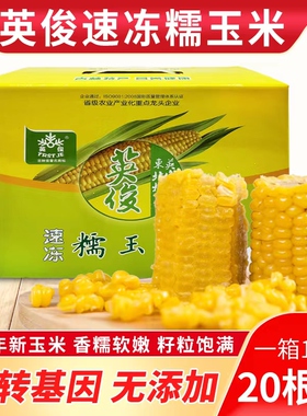 新玉米英俊糯玉米 东北粘玉米棒 新鲜速冻玉米香甜糯软嫩整箱20棒