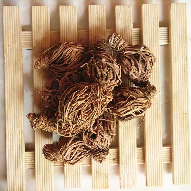冷背中草材头顶一颗珠延